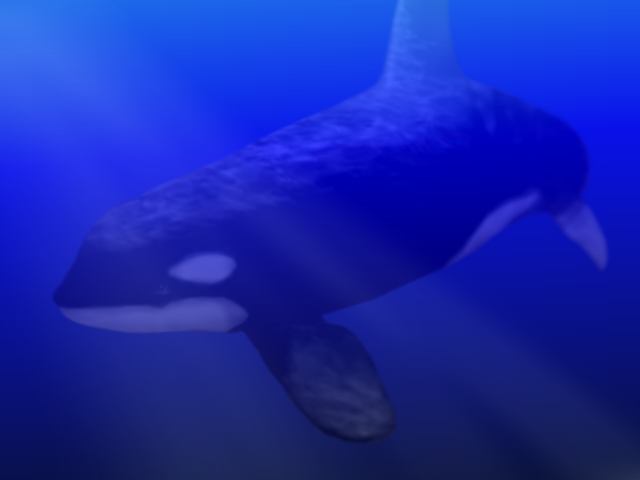 killerwhale1ver2.jpg